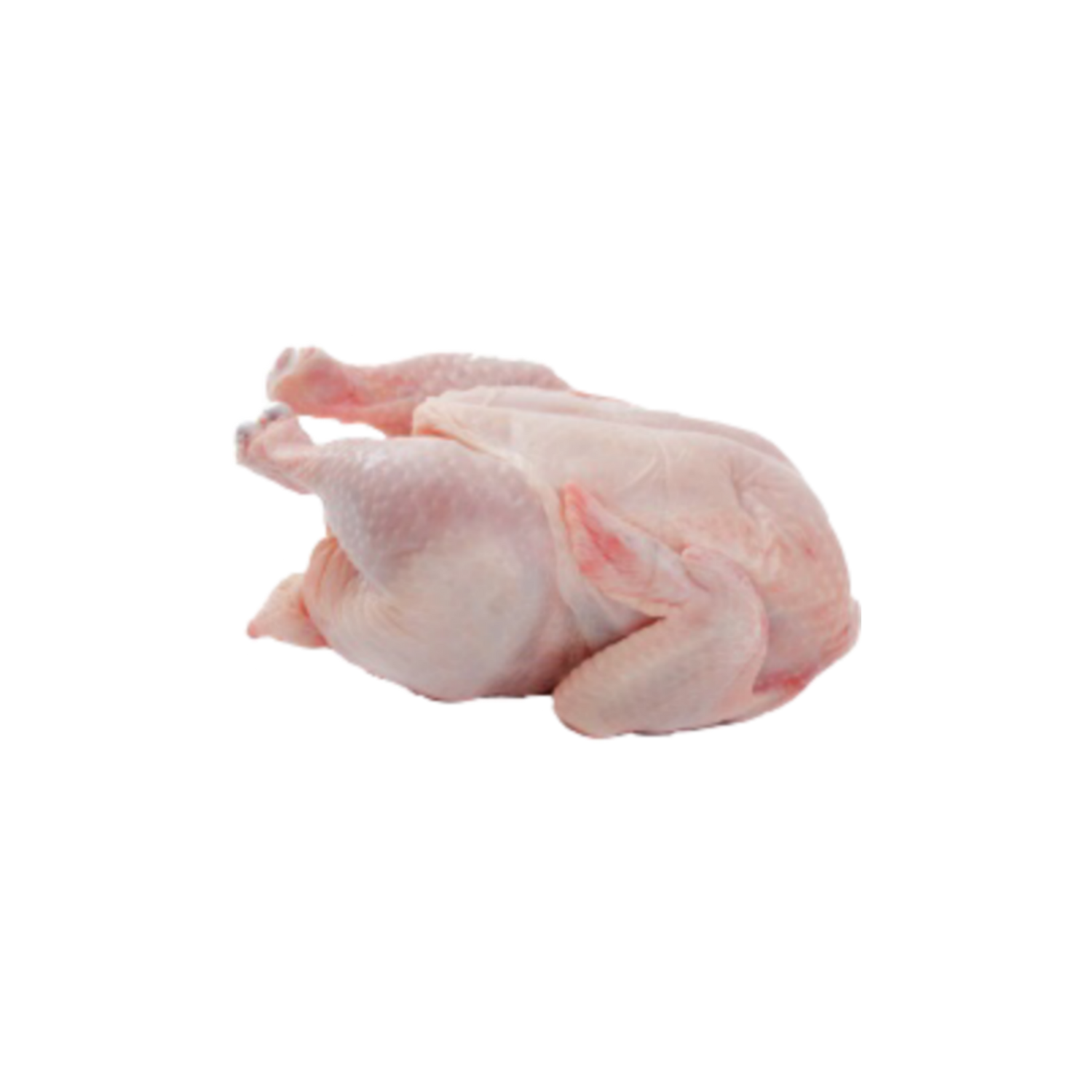 Fresh Meat (Evening)