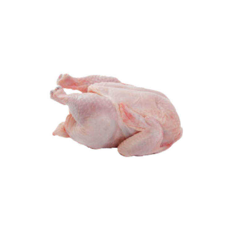 Fresh Meat (Evening)